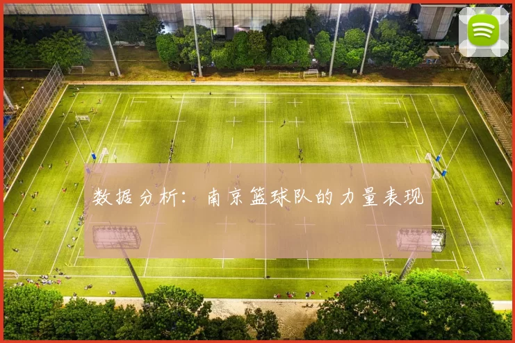 数据分析：南京篮球队的力量表现