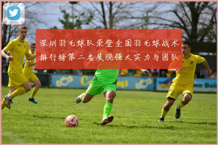 深圳羽毛球队荣登全国羽毛球战术排行榜第二名展现强大实力与团队合作