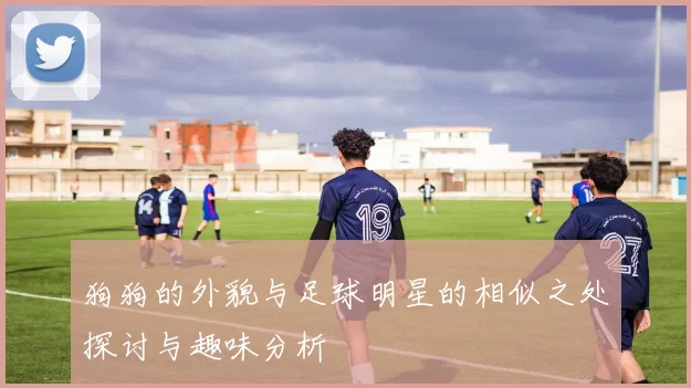 狗狗的外貌与足球明星的相似之处探讨与趣味分析
