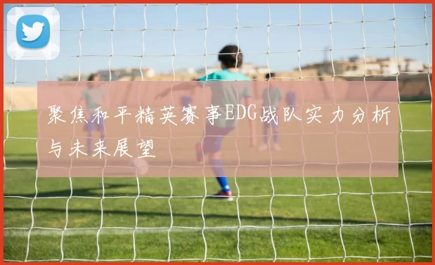 聚焦和平精英赛事EDG战队实力分析与未来展望