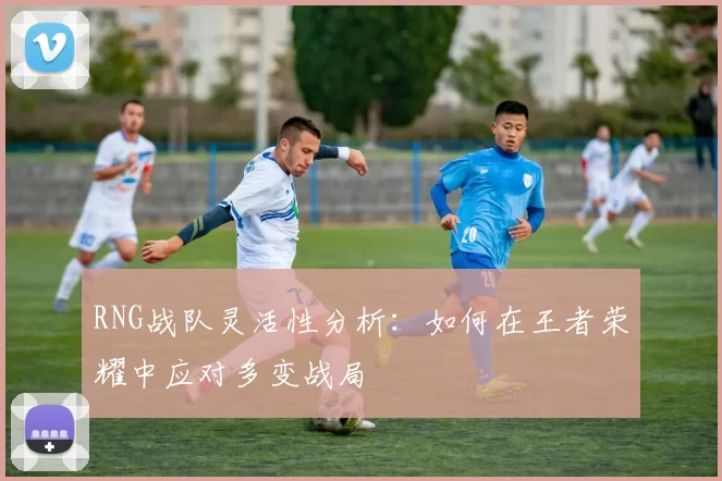RNG战队灵活性分析：如何在王者荣耀中应对多变战局