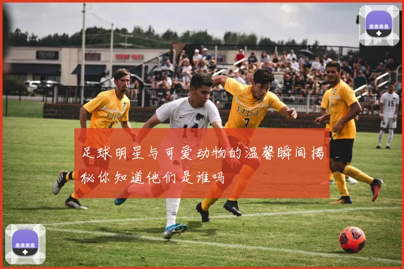 足球明星与可爱动物的温馨瞬间揭秘你知道他们是谁吗