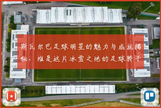 斯瓦尔巴足球明星的魅力与成就揭秘，谁是这片冰雪之地的足球骄子