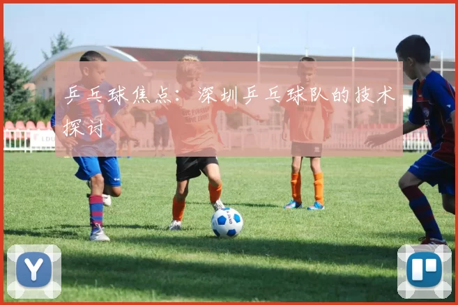 乒乓球焦点：深圳乒乓球队的技术探讨