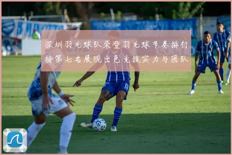 深圳羽毛球队荣登羽毛球节奏排行榜第七名展现出色竞技实力与团队精神