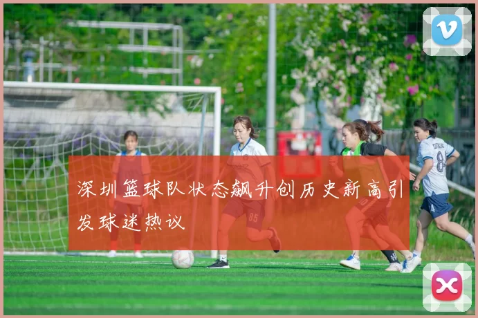 深圳篮球队状态飙升创历史新高引发球迷热议