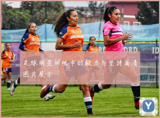 足球明星训练中的毅力与坚持高清图片展示