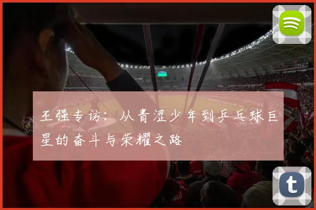 王强专访：从青涩少年到乒乓球巨星的奋斗与荣耀之路
