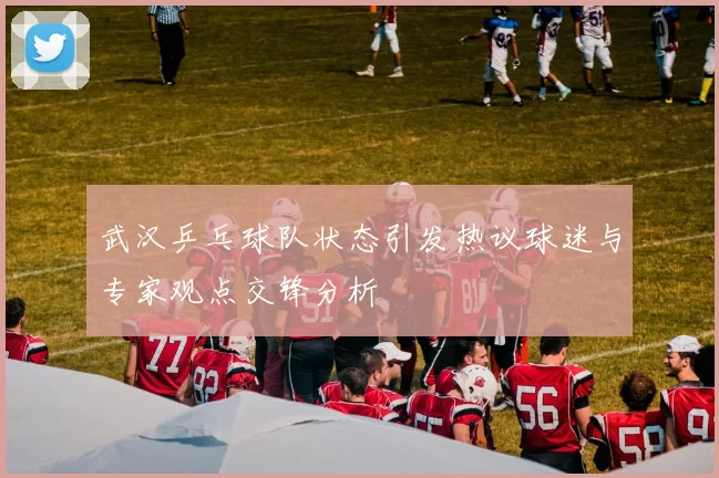武汉乒乓球队状态引发热议球迷与专家观点交锋分析