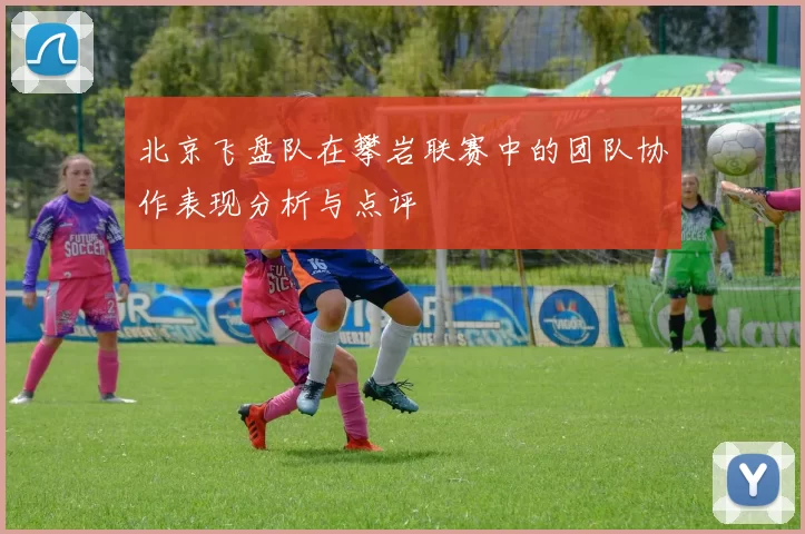北京飞盘队在攀岩联赛中的团队协作表现分析与点评