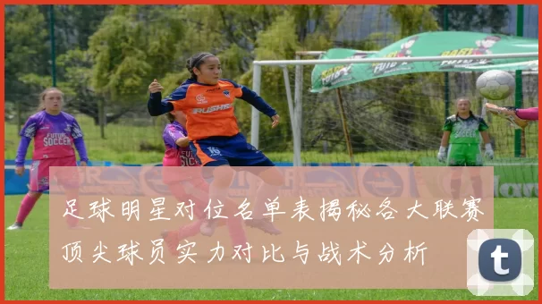 足球明星对位名单表揭秘各大联赛顶尖球员实力对比与战术分析