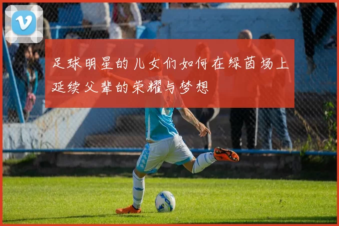 足球明星的儿女们如何在绿茵场上延续父辈的荣耀与梦想