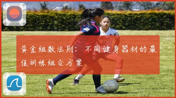 黄金组数法则：不同健身器材的最佳训练组合方案