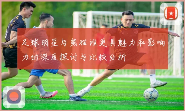 足球明星与熊猫谁更具魅力和影响力的深度探讨与比较分析