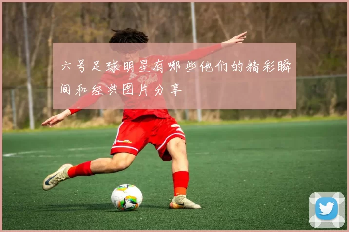 六号足球明星有哪些他们的精彩瞬间和经典图片分享