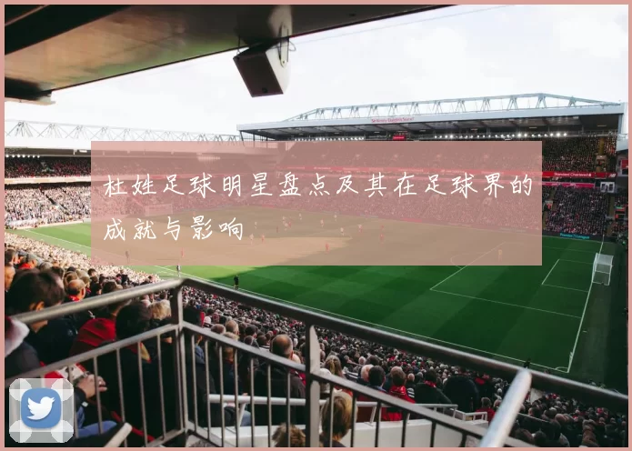 杜姓足球明星盘点及其在足球界的成就与影响
